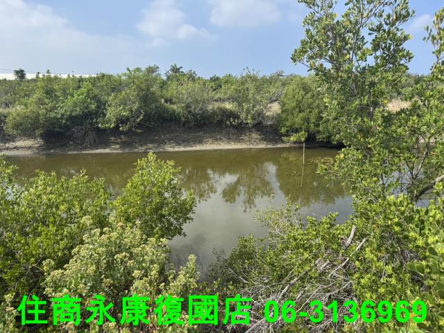 台南農地-5