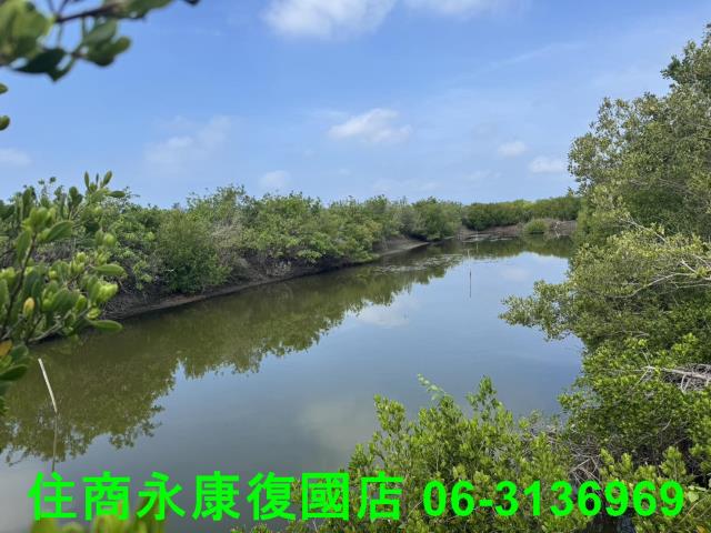 台南農地-6