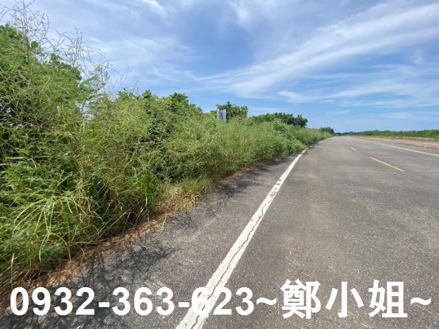 台南農地-5