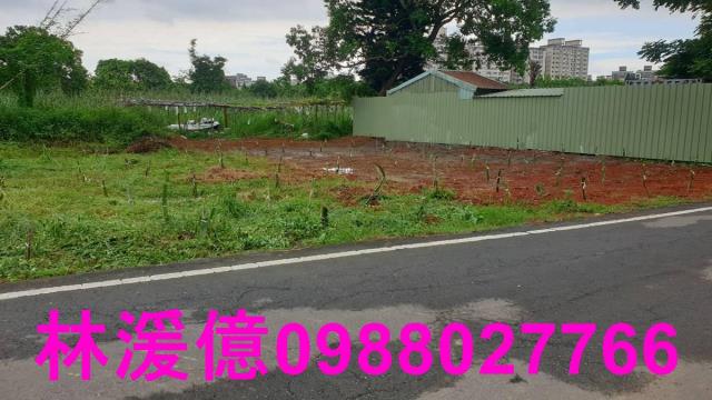 桃園農地-2