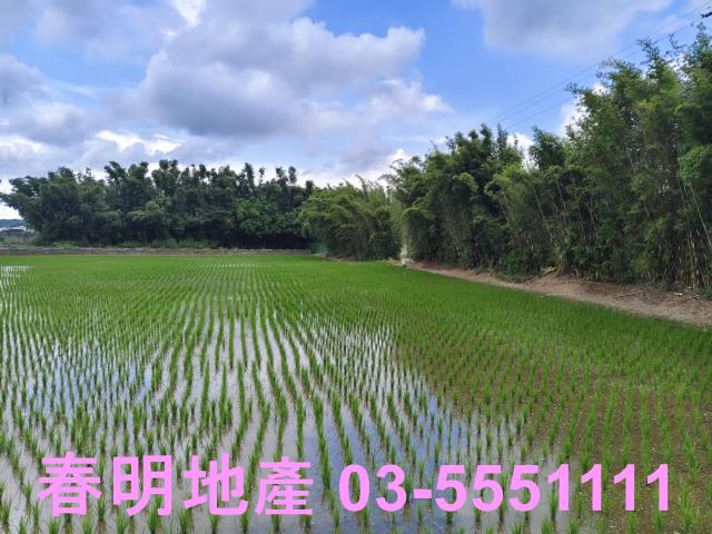 新竹農地-1