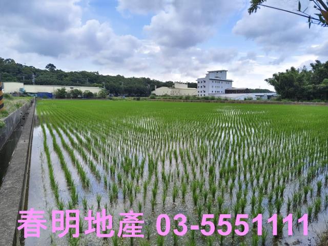新竹農地-3