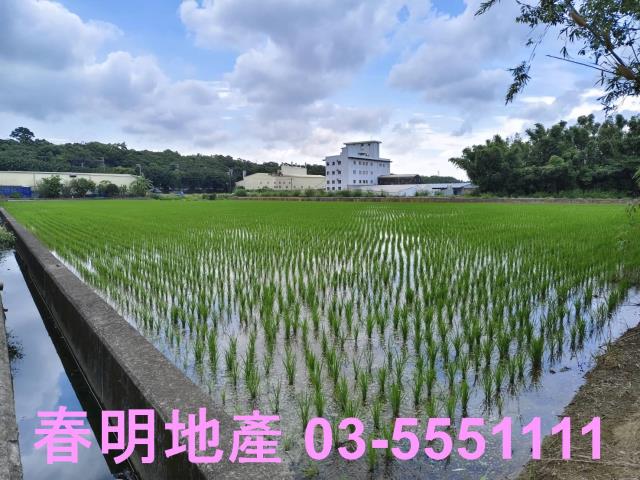 新竹農地-6