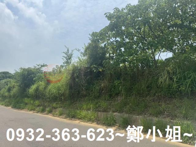 桃園農地-9