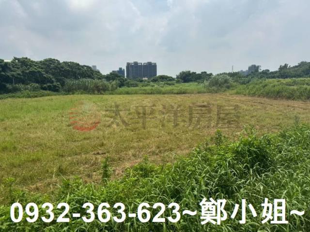 桃園農地-1