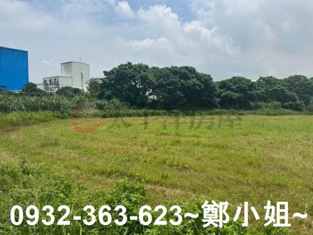 桃園農地-2