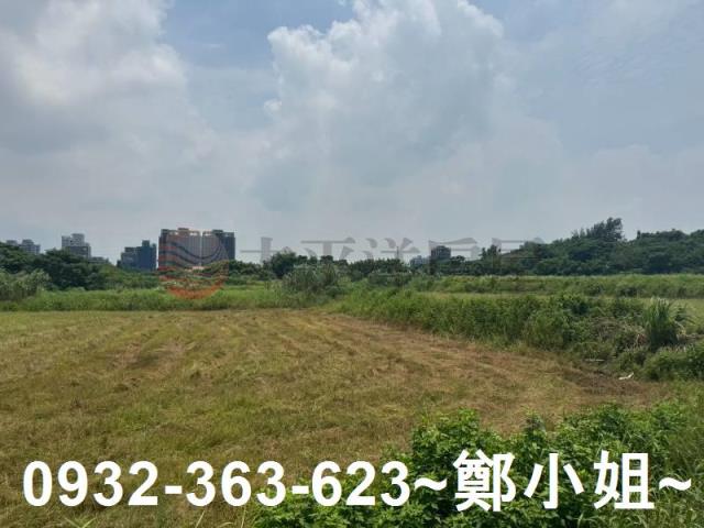 桃園農地-4