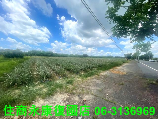 台南農地-0