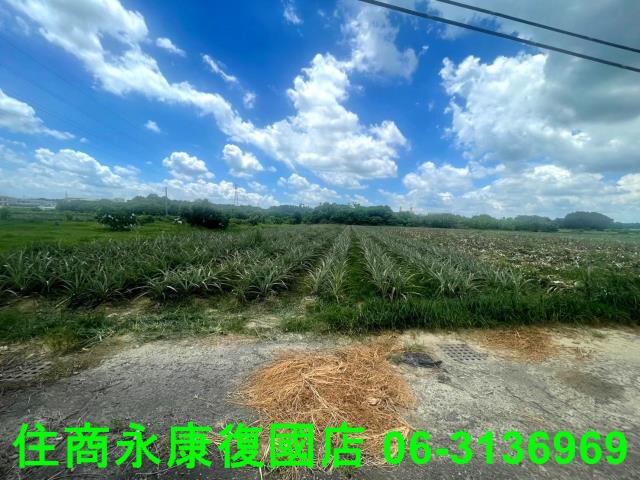 台南農地-1