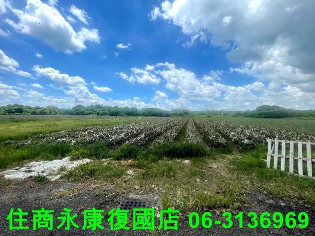 台南農地-5