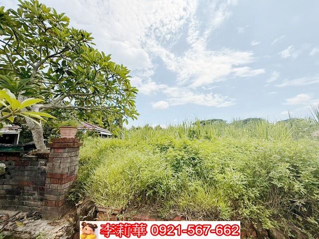 台南農地-8