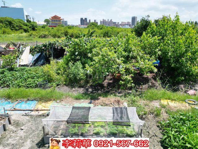 台南農地-10