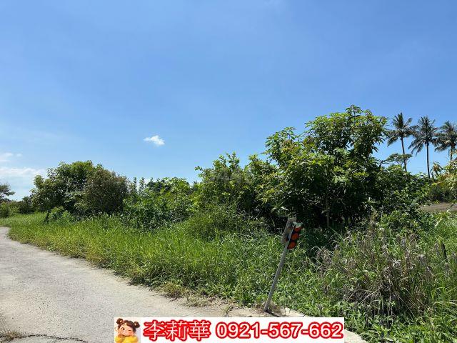 台南農地-1