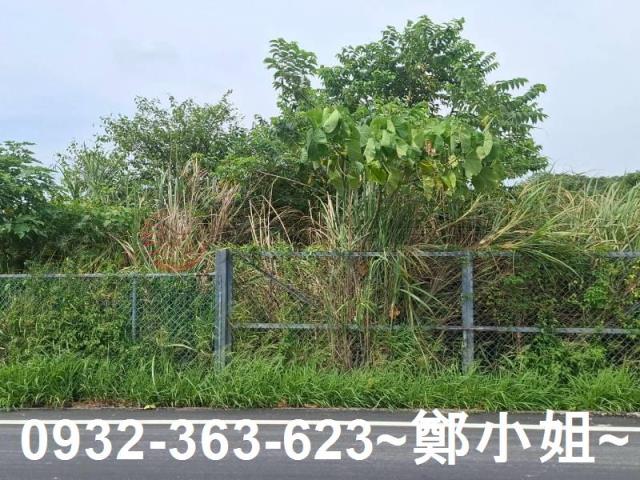 桃園平鎮農地-3
