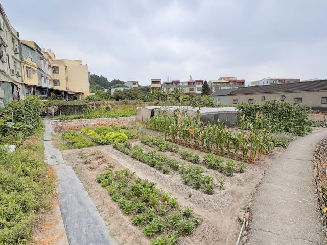 台中龍井建地-0