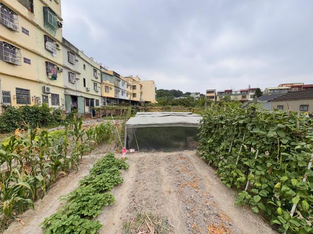 台中龍井建地-4
