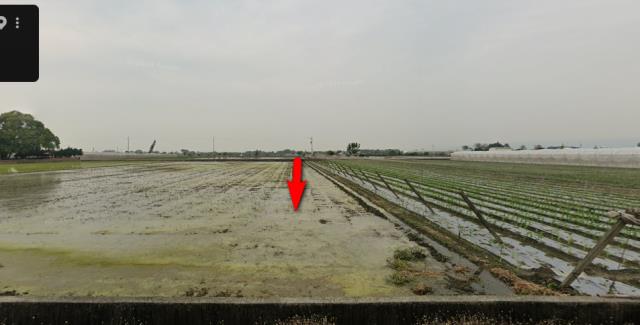 雲林縣莿桐鄉六合村法拍農保地