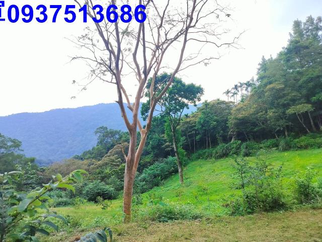 宜蘭礁溪農地-12
