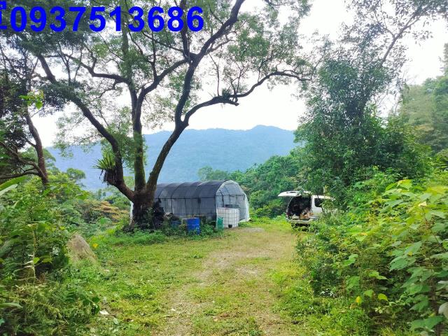 宜蘭礁溪農地-13