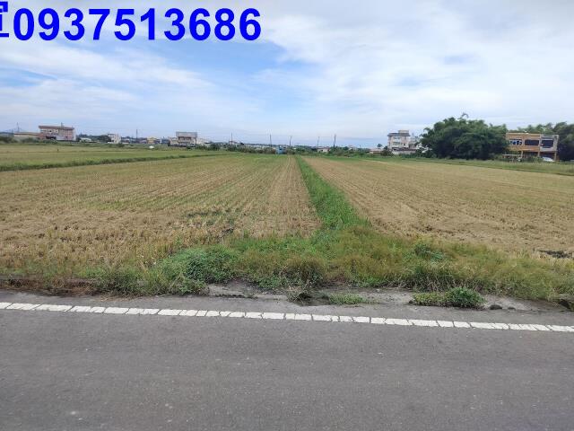 宜蘭壯圍農地-1