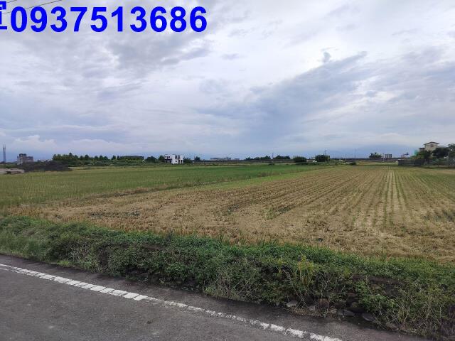 宜蘭壯圍農地-2