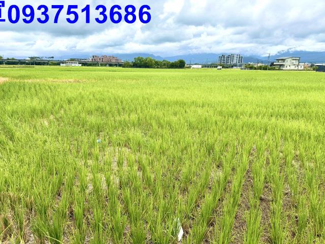 宜蘭宜蘭市農地-4