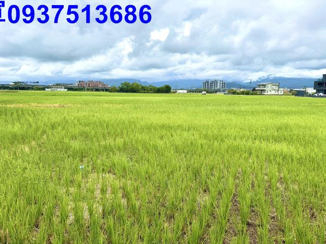 宜蘭宜蘭市農地-6