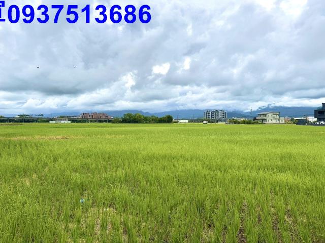宜蘭宜蘭市農地-7