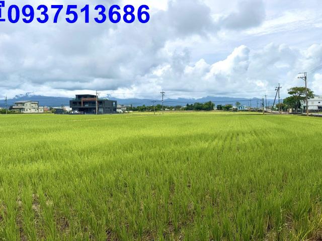 宜蘭宜蘭市農地-2