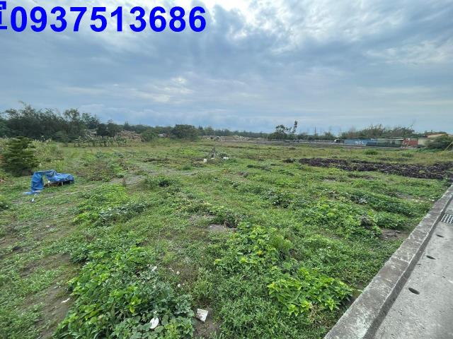 宜蘭壯圍農地-6