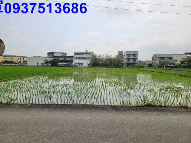 員山農地-2