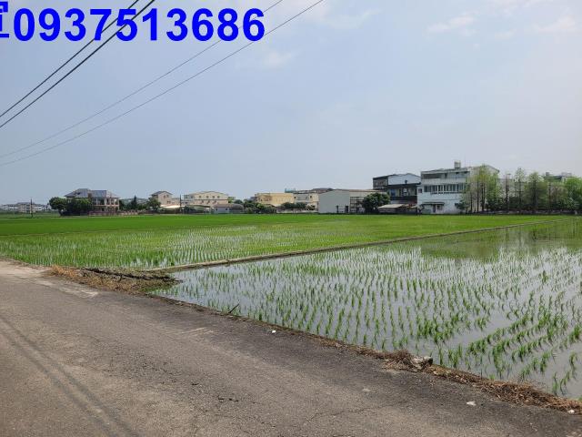 員山農地-1