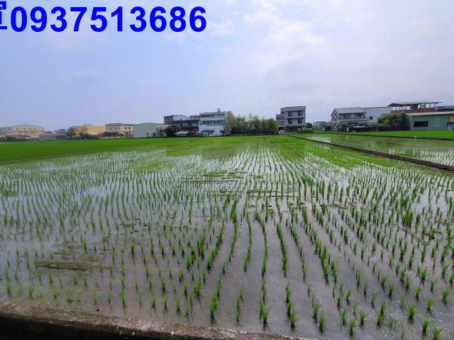 員山農地-6