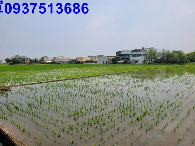 員山農地-7