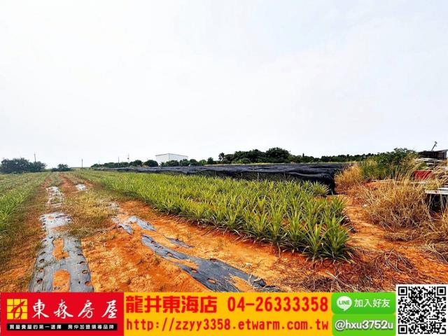 沙鹿農地-5