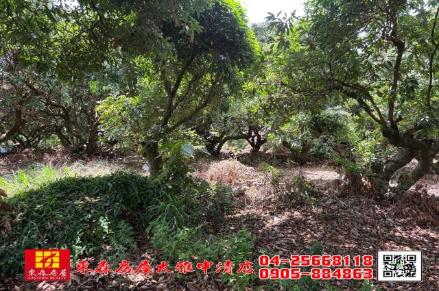 神岡農地_住宅地-1