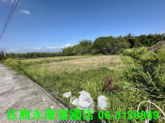 左鎮農地-3
