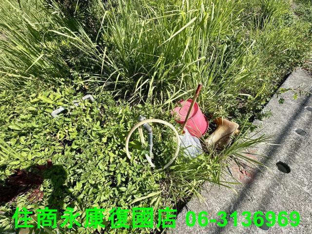 左鎮農地-4