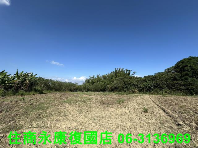 左鎮農地-5