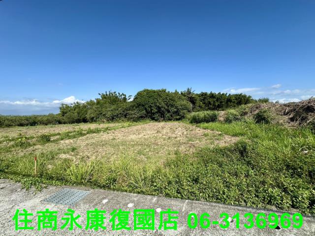 左鎮農地-9