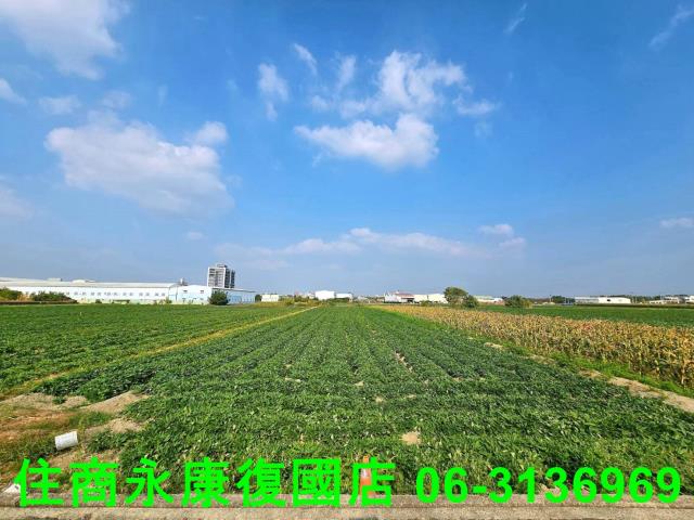 新化農地-1
