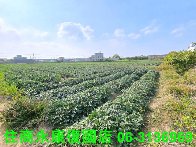 新化農地-5