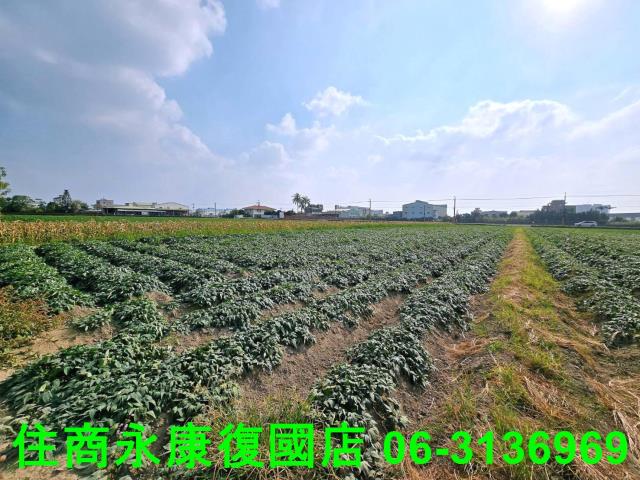 新化農地-6