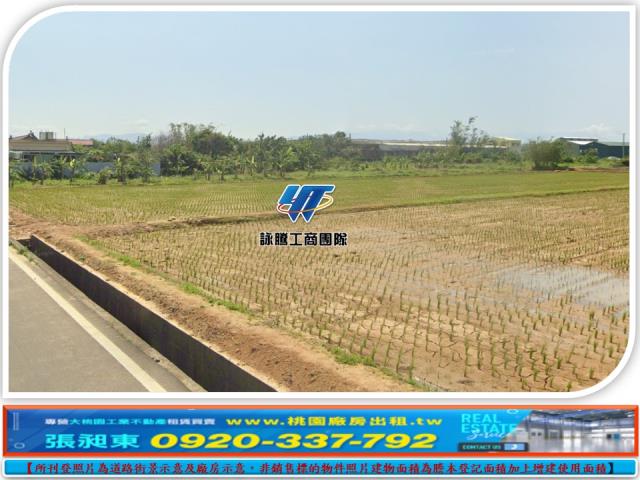楊梅農地-2