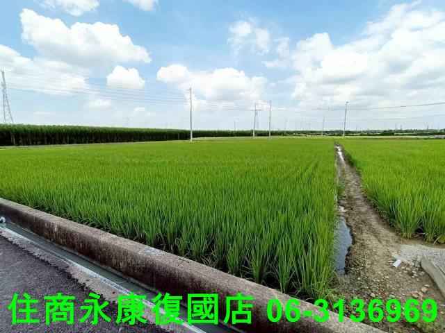 台南農地-2