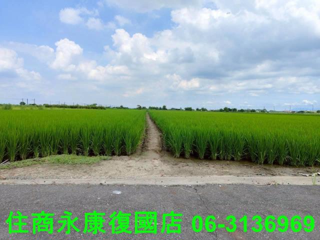台南農地-10