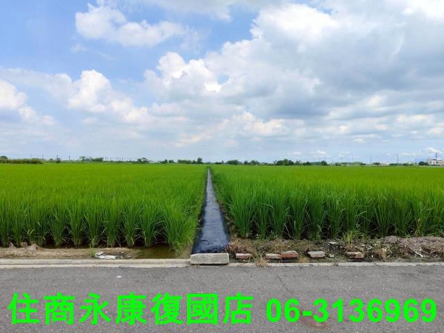 台南農地-13