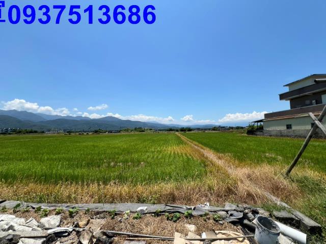 宜蘭縣冬山鄉新香城段農地出售