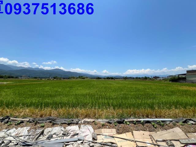 宜蘭農地-8