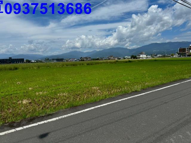 宜蘭縣壯圍鄉功勞段農地出售